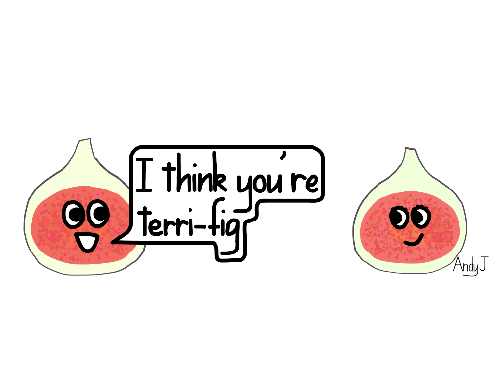 Fig pun